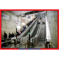 Safety Intdoor Escalator with Good Quality Competitive Price